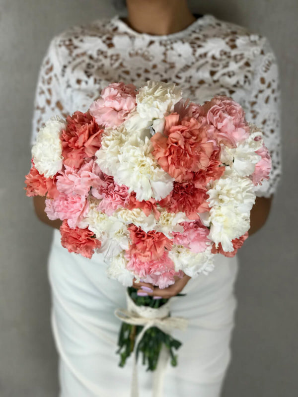 Fluffy Carnations