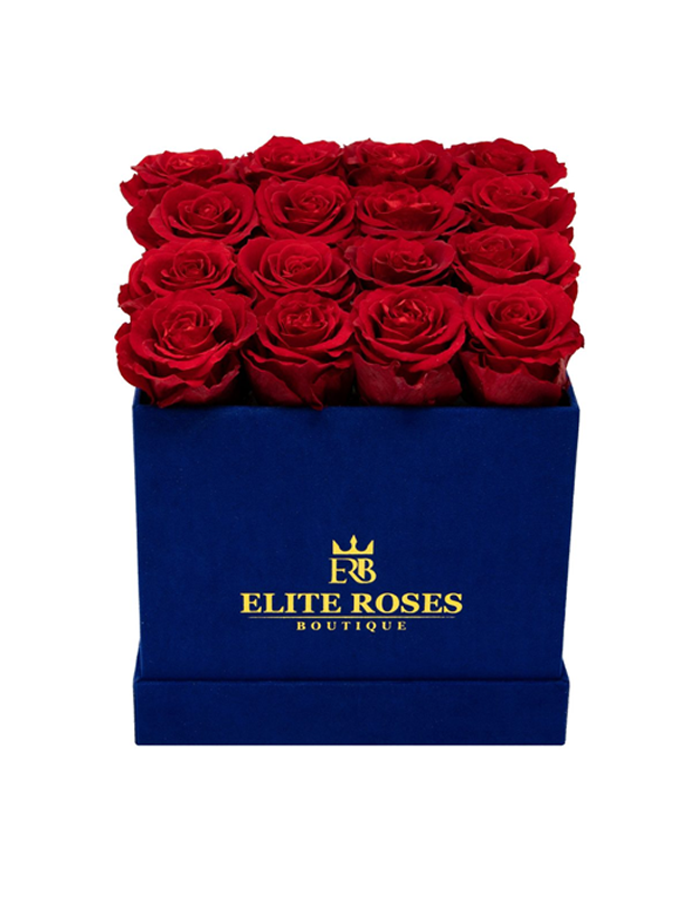 Red roses in a medium square velvet